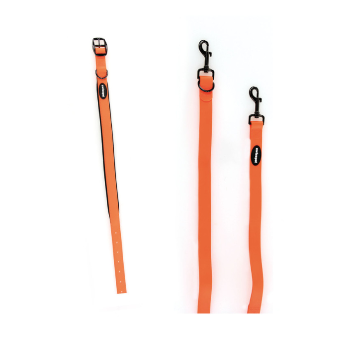 TrendLine NEON Halsband und Führleine, orange