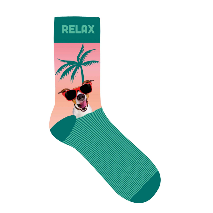 Plentygifts Socken "Relax" mit Hund, rosa-grün