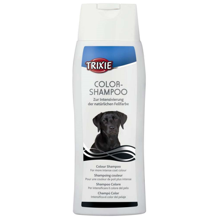 Color-Shampoo, schwarz - 250 ml