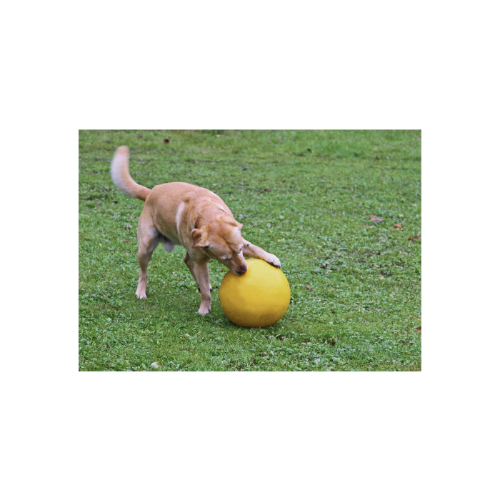 Kerbl Hundespielball aus Kunststoff, gelb, 30cm