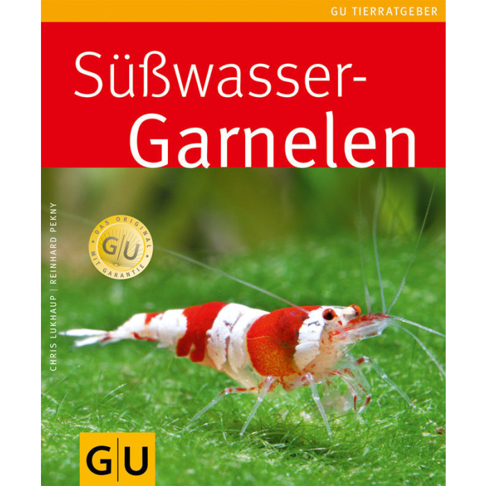 Süsswasser-Garnelen