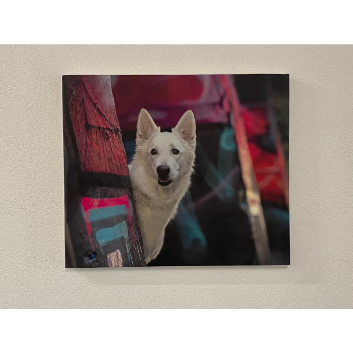 "Graffiti-Welt" Foto-Druck mit Berger Blanc Suisse auf Leinwand, 60x50cm