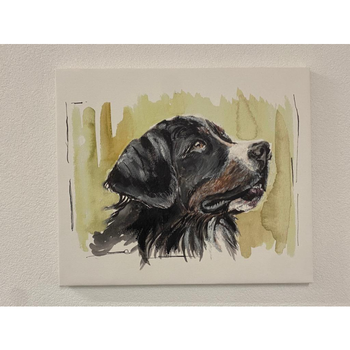 "Berner Sennenhund" Aquarell-Druck auf Leinwand, 60x50cm