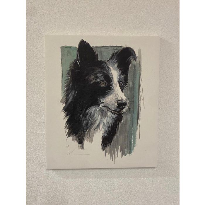 "Border Collie" Aquarell-Druck auf Leinwand, 60x50cm