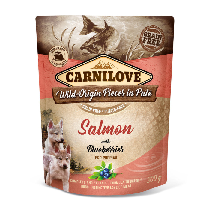 Carnilove Canine Pouch Paté Lachs + Blaubeeren - 12 x 300 g | Welpen-Nassfutter