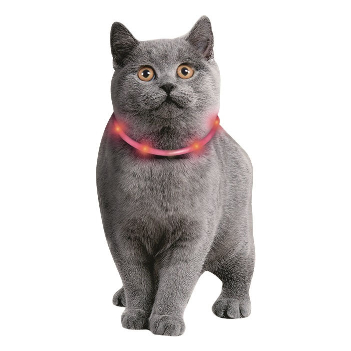 JS Viso Light Katze