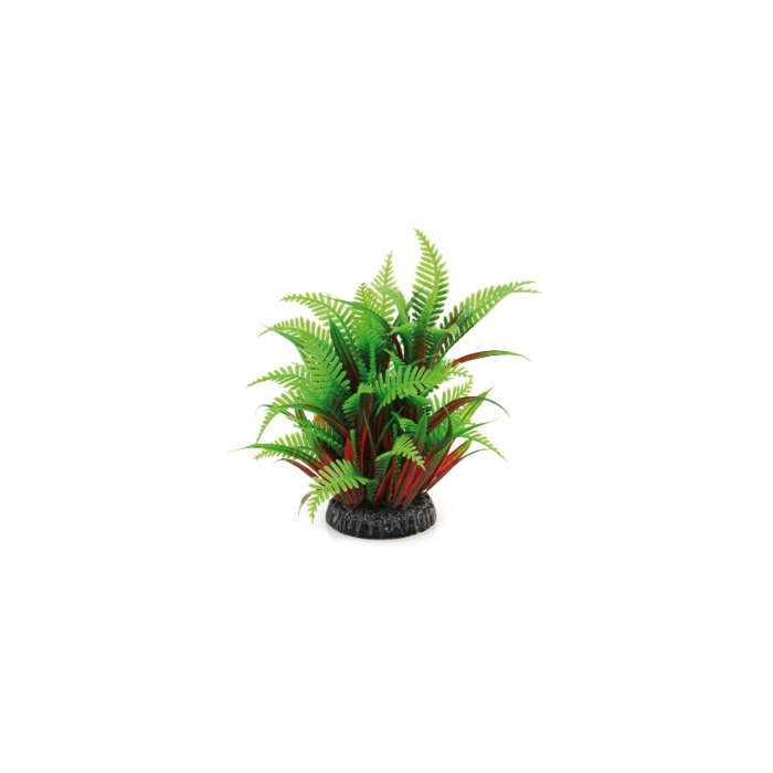 DE Amazonas Fantasy Plant QL grün-rot - 20cm