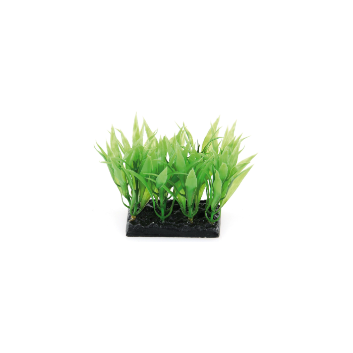 DE Amazonas Fantasy Plant PP grün - 10cm