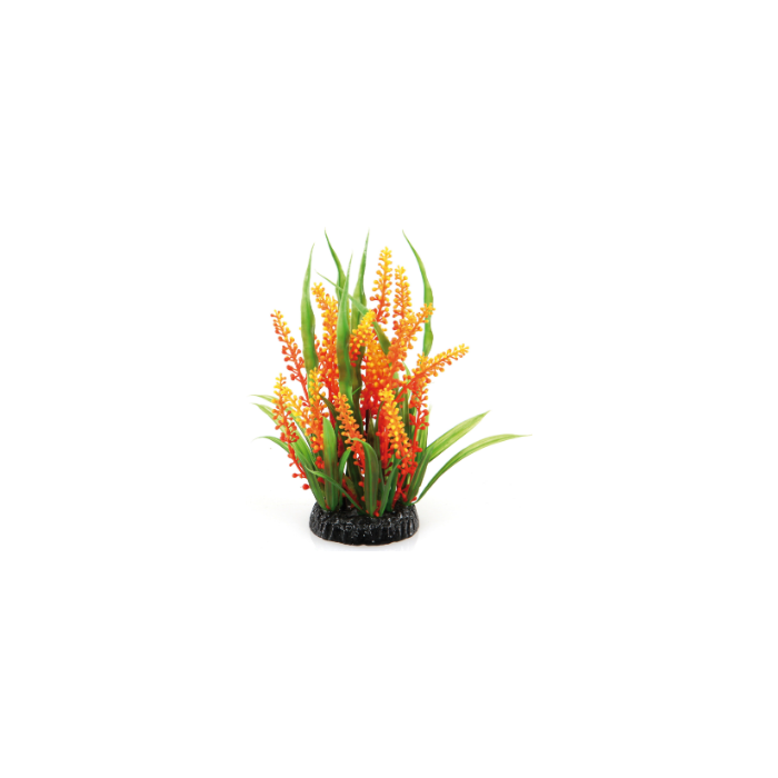 DE Amazonas Fantasy Plant QL 125 grün-orange - 20cm