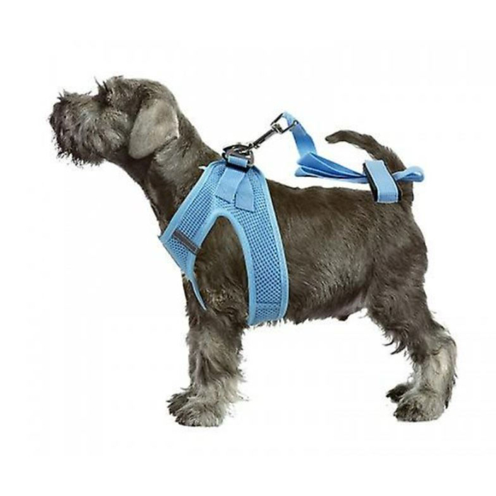 Pawise Hundegeschirr mit Leine "Air Mesh" blau 