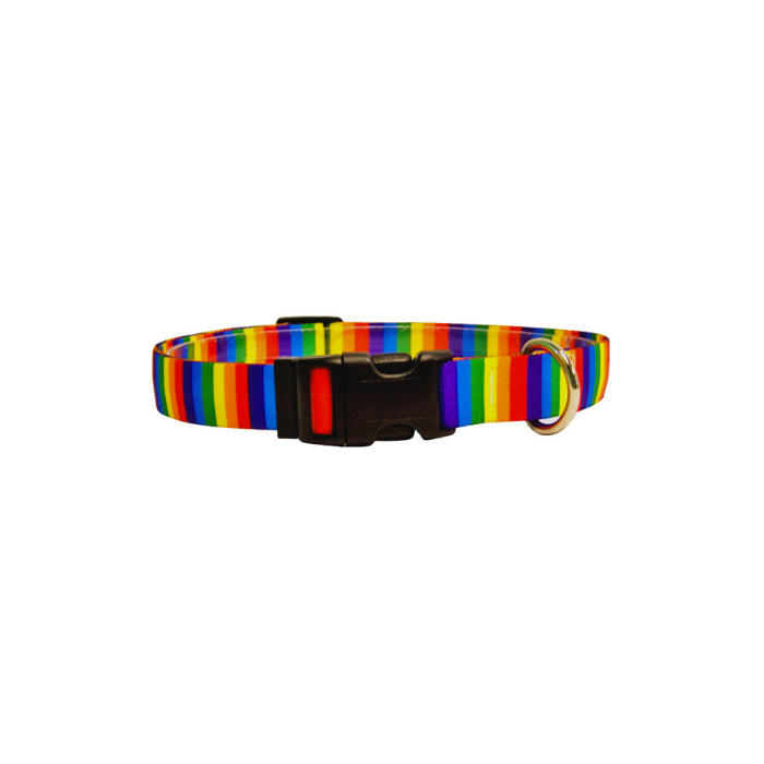 Croci Hundehalsband PRIDE, Regebogenfarben