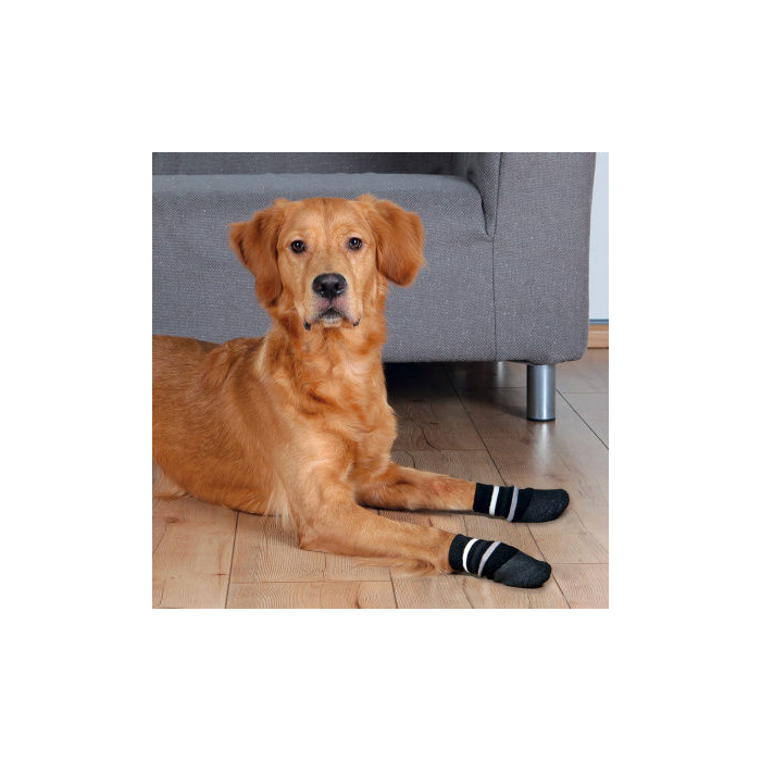 Hundesocken, schwarz