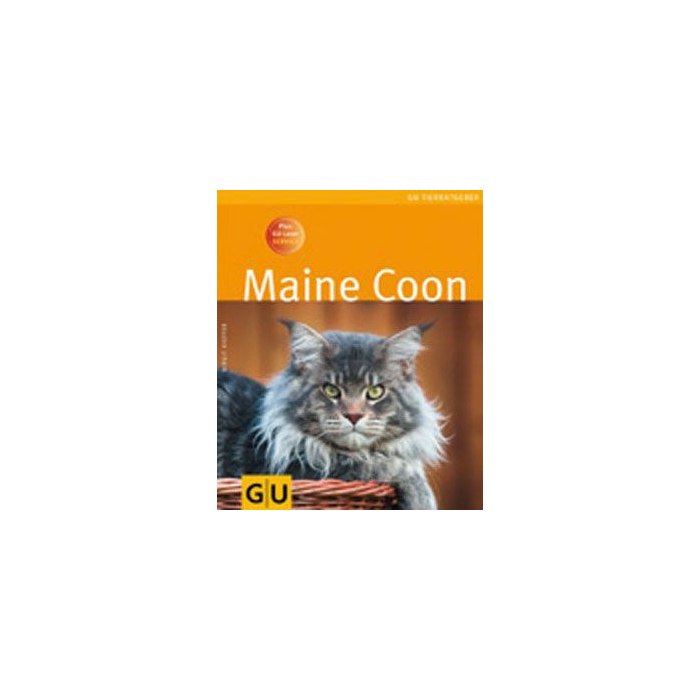 Maine Coon