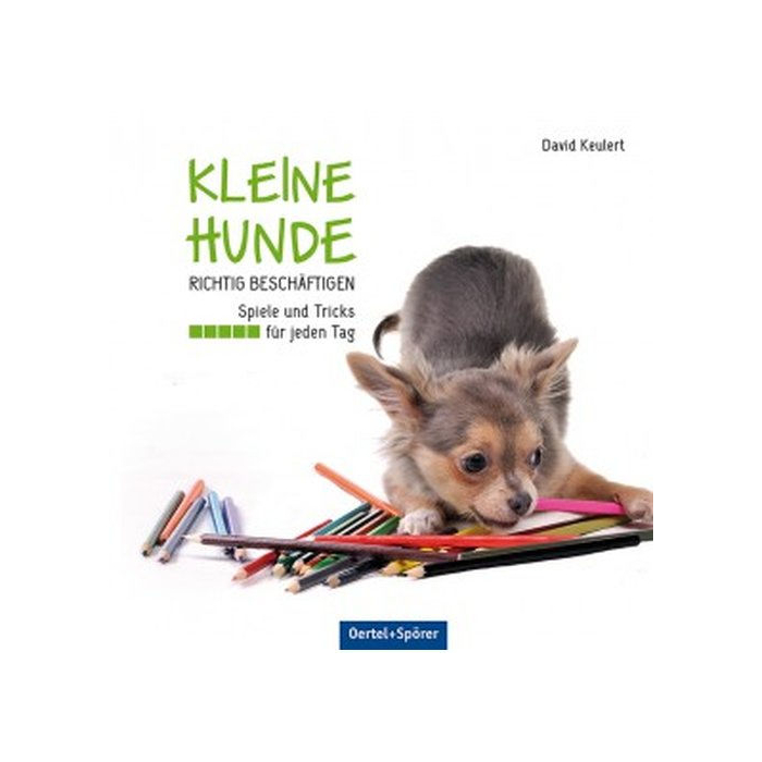 CZ "Kleine Hunde richtig beschäftigen", Buch, gebunden, 144 Seiten