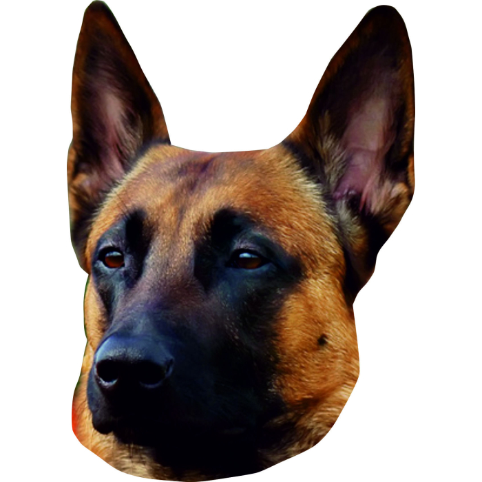 Malinois Aufkleber, "petcenter.ch-Edition" - 2 Stück