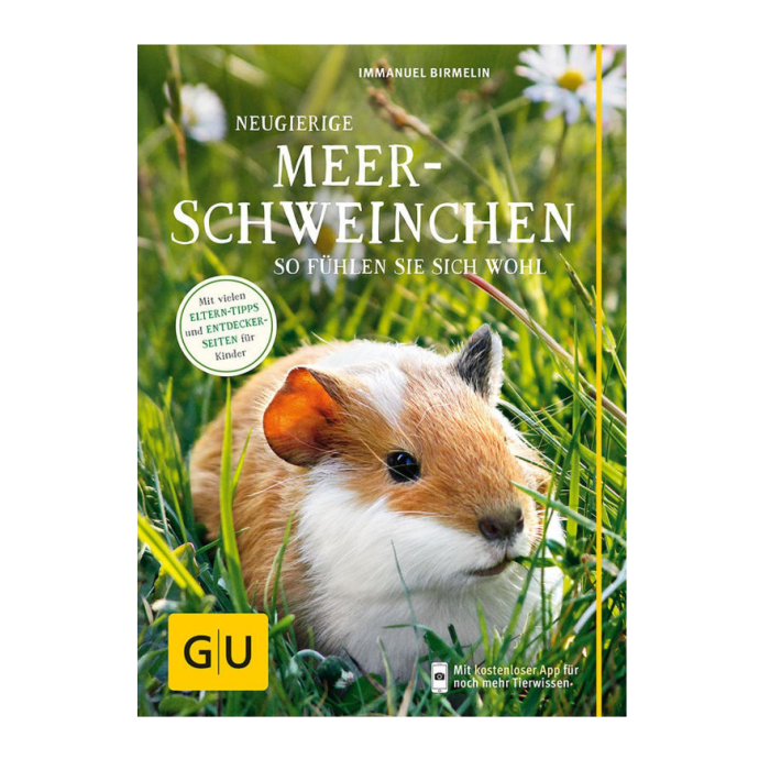 DE GU Neugierige Meerschweinchen