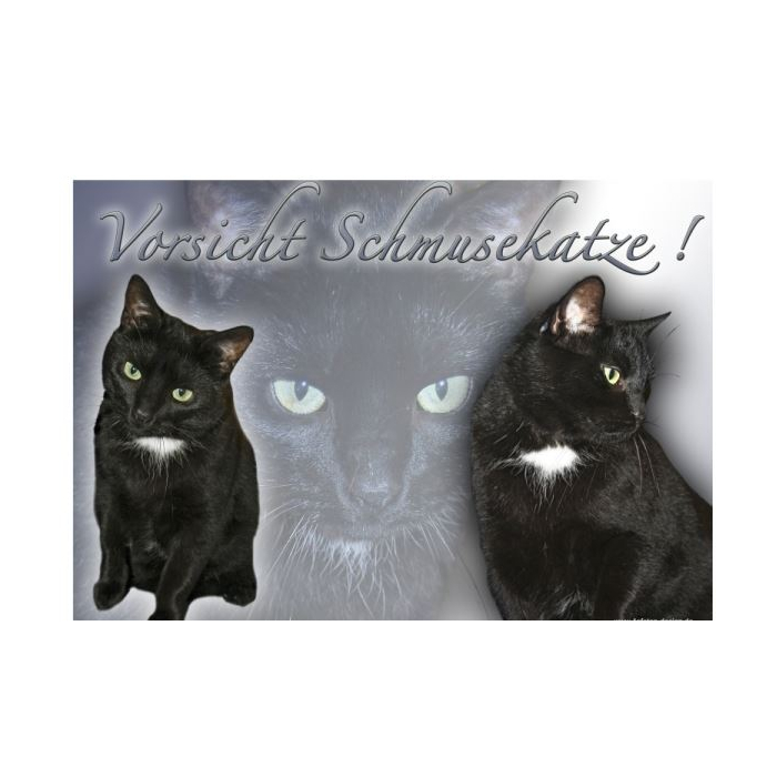 Warnschild "Vorsicht Schmusekatze!" - 20x15cm