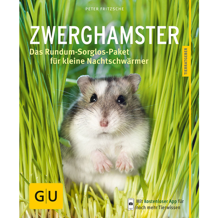 Zwerghamster 