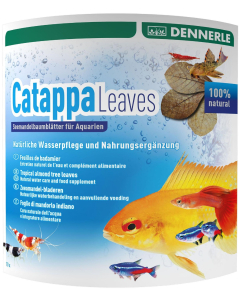 DE AquaRico Catappa Leaves – Seemandelbaumblätter