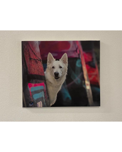 "Graffiti-Welt" Foto-Druck mit Berger Blanc Suisse auf Leinwand, 60x50cm