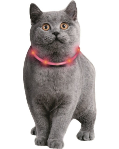 JS Viso Light Katze