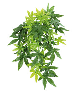 DE Amazonas Repti Fantasy Plant T007 - 40cm