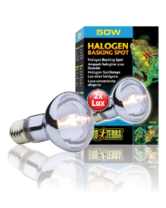 DE Exo Terra Halogen Basking Spot - 50W