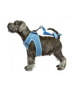 Pawise Hundegeschirr mit Leine "Air Mesh" blau 