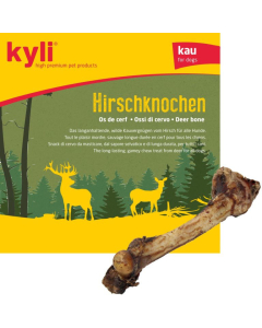 kyli Hirschknochen 