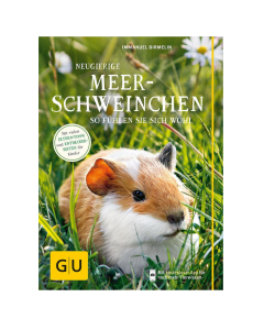 DE GU Neugierige Meerschweinchen