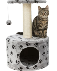 Trixie Junior Kratzbaum Toledo, 61 cm | Für Katzen