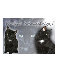 Warnschild "Vorsicht Schmusekatze!" - 20x15cm