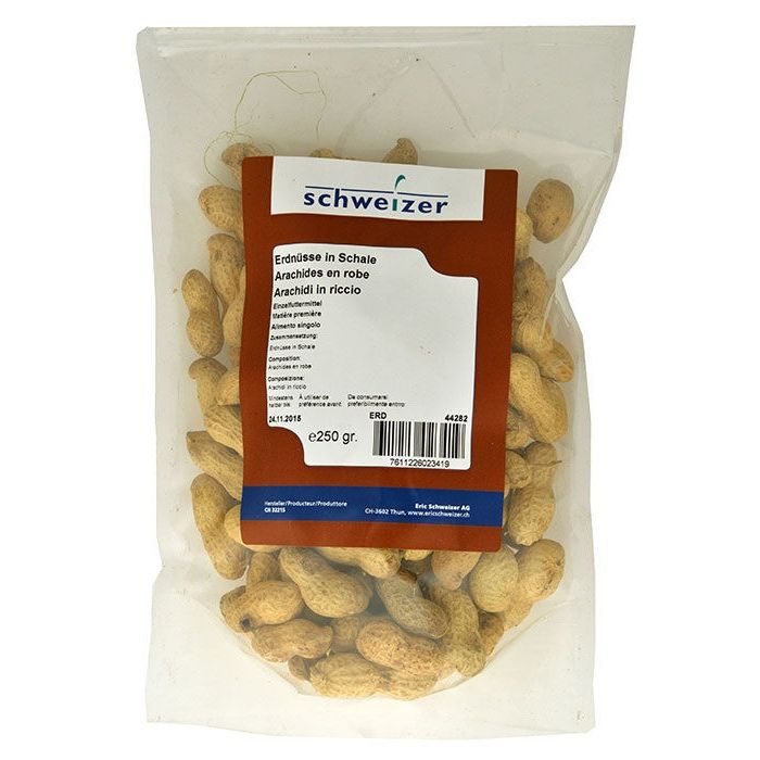 CLASSIC Erdnüsse in Schale