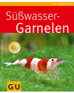 Süsswasser-Garnelen