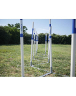 AO Agility Trainings-Slalom | Für Hunde