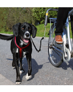 Trixie Biker-Set, für grosse Hunde