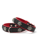 Maul Lederhalsband Edelweiss schwarz-rot