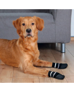 Hundesocken, schwarz