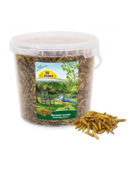 JR Farm Hermetia / Soldatenfliegen-Larven - 400g