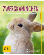 Zwergkaninchen